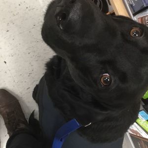 Meet your Posher, Audrey